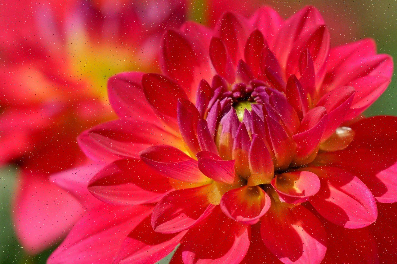 Mahamrityunjaya Yantra